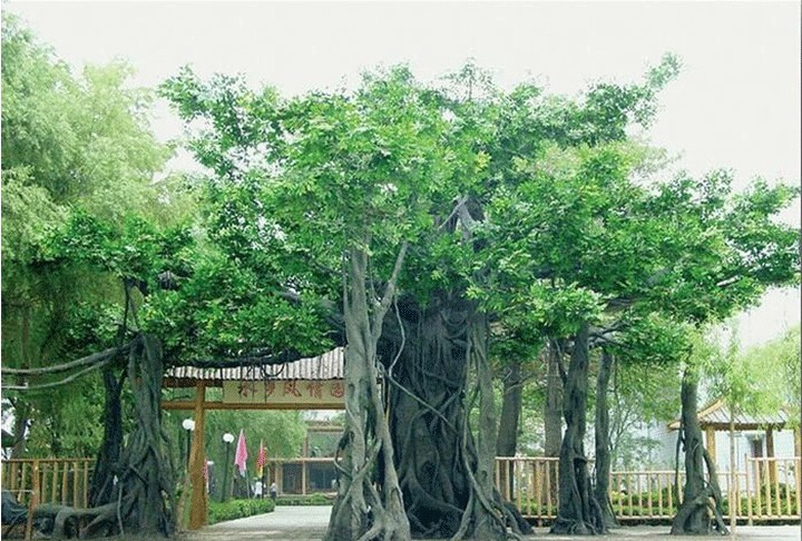 ٘TT^ɽT^Ř侰^(q)ʯɽTˮO(sh)Ӌʩ