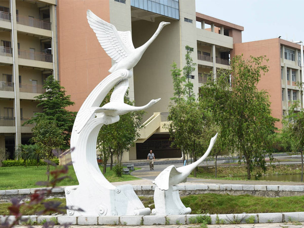 F(xin)ڴ(sh)˂ϲgP䓵߀ǾP䓵